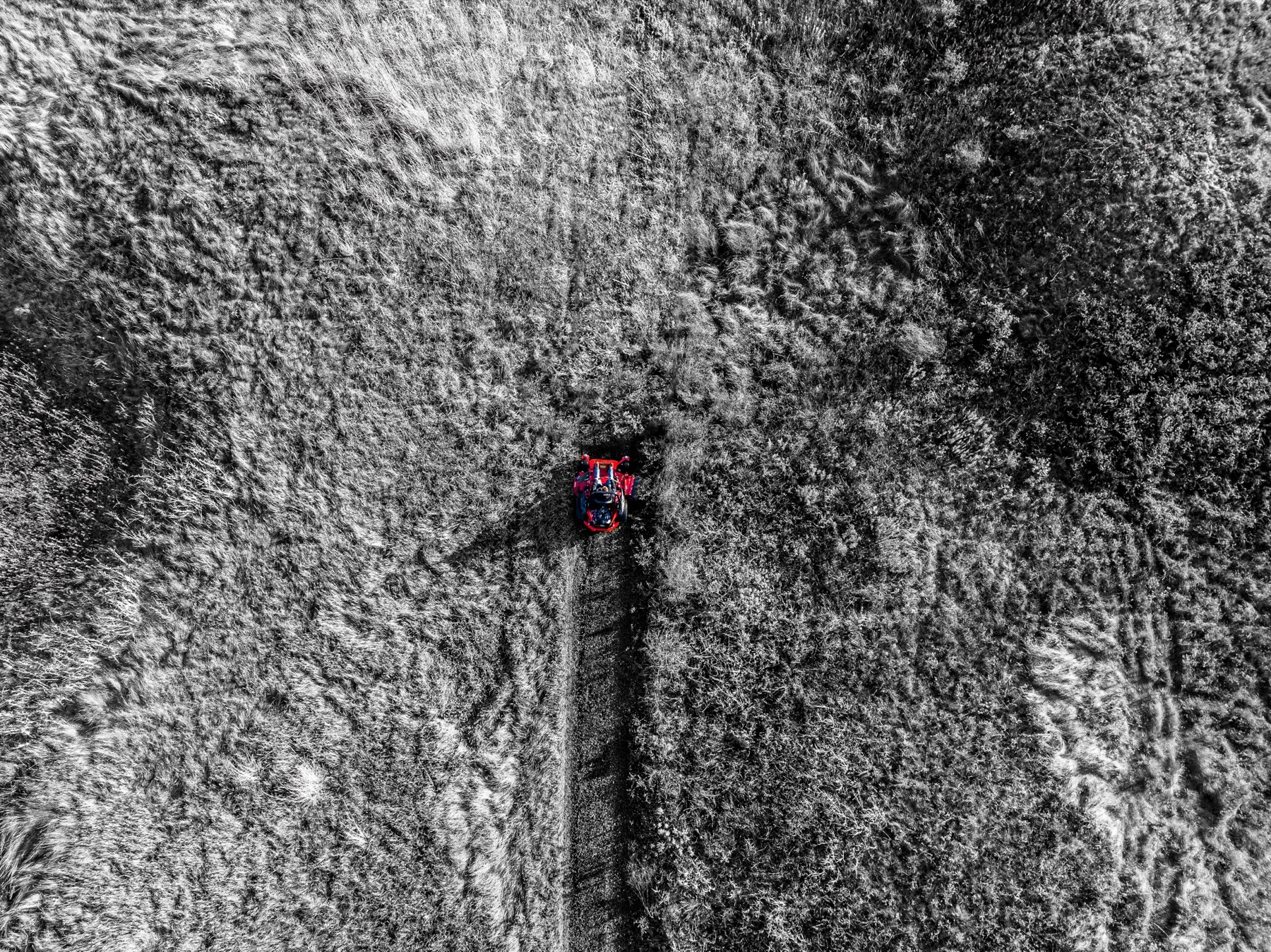 A Gravely mower cutting a single pass through open grass, seen from above